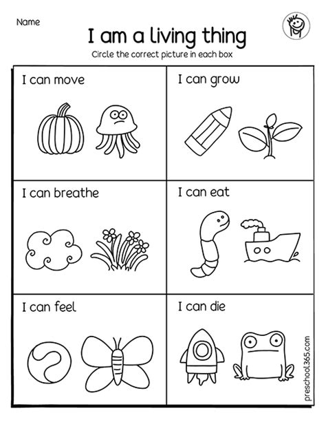 draw living things|Living and Nonliving Things, Kindergarten Lesson Plan: .